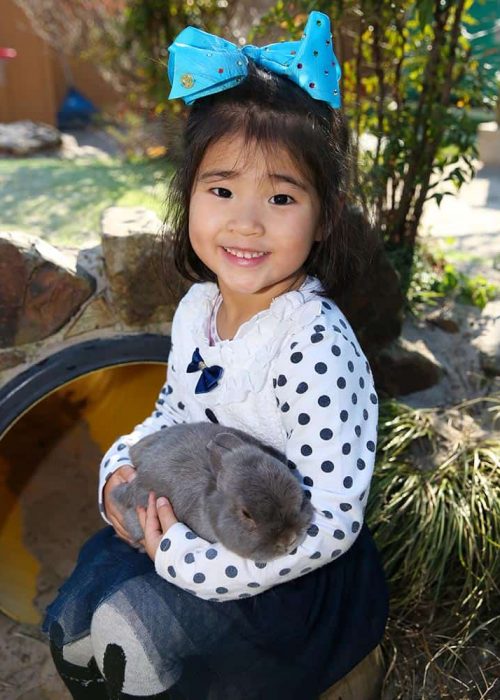girl_with_rabbit strike a pose girl with rabbit